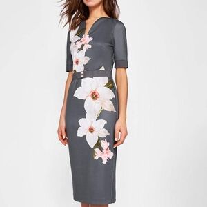 Ted Baker NWT Bisslee Chatsworth Floral Bloom Bodycon Dress Size 2